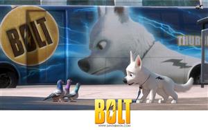 Bolt